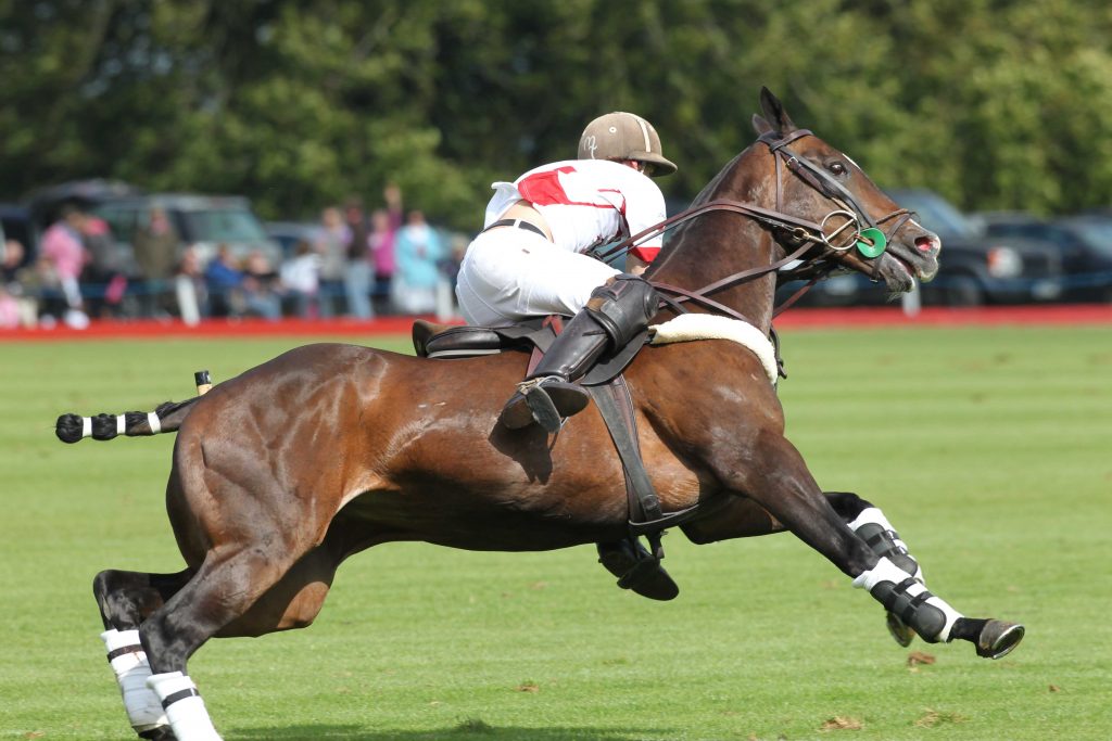 Beaufort Polo Club